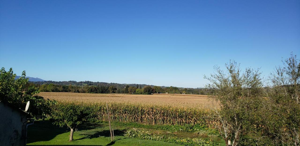 Bed & Breakfast Ferme Peyroutet Asson
